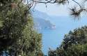 Foto 1 Cinque Terre: sull'incantevole strada sinuosa per Framura