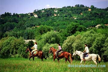 Il Cavallone Agriturismo - Montelupo Fiorentino - 3
