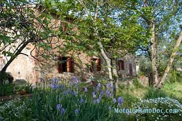 Il Podere della Nonna B&B - Lamporecchio - 1