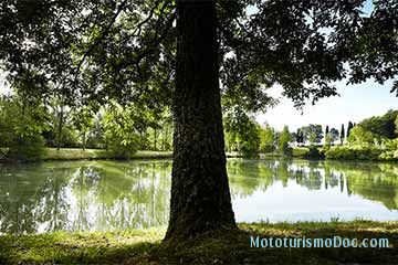 Villa il Castagno - Il Castagno d'Elsa - 2