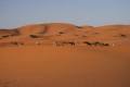 Il deserto a Marzouka