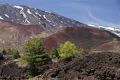 Sui pendii dell'Etna