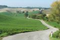 Strada bianca a Radda