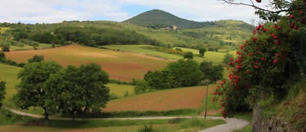 Itinerari moto: La sinuosa strada dei vini del cantico in Umbria
