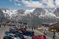 Edelweiss - Großglockner