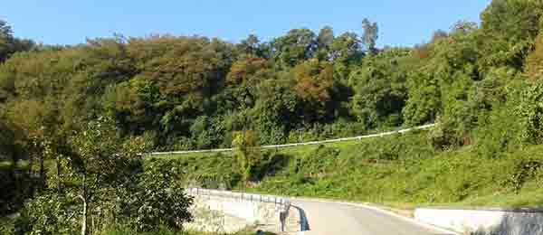 Mini tour in moto: Monti Berici tra curve, panorami e magnifiche ville venete