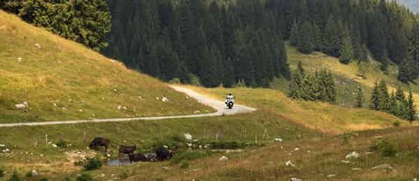 Tour in moto: Passi delle Alpi le curve e i tornanti del Foppa Mortirolo