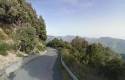 Foto 2 Viaggio tra le curve più belle dell'Appennino della Calabria