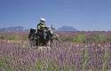 Foto 3 Mototour del Verdon, Luberon, Mont Ventoux, Ardeche Camargue