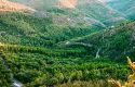 Foto 4 Viaggio nella Spagna più selvaggia di Gredos e Las Hurdes
