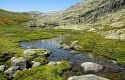 Foto 5 Viaggio nella Spagna più selvaggia di Gredos e Las Hurdes